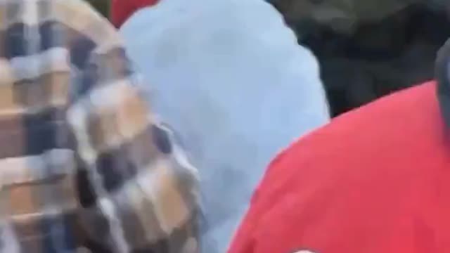 Ottawa Police trampled an elder lady, what are you doing?