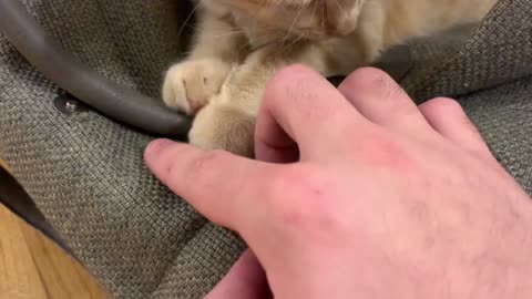 Orange loaf renders bag unusable