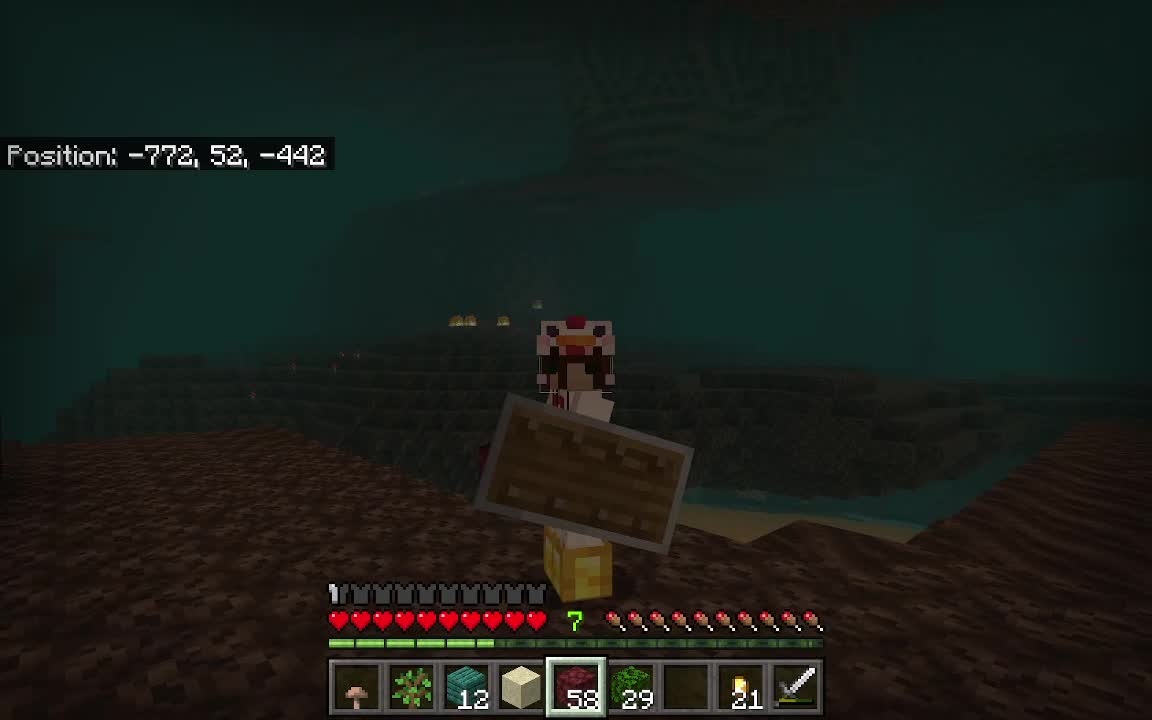 Going back to the nether :D