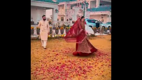 couple photography shoot short clip