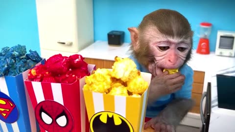 monkey funny video part2