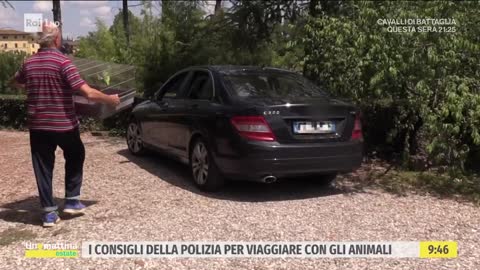 I consigli della polizia per viaggiare con gli animali - Unomattina Estate - 12/08/2022