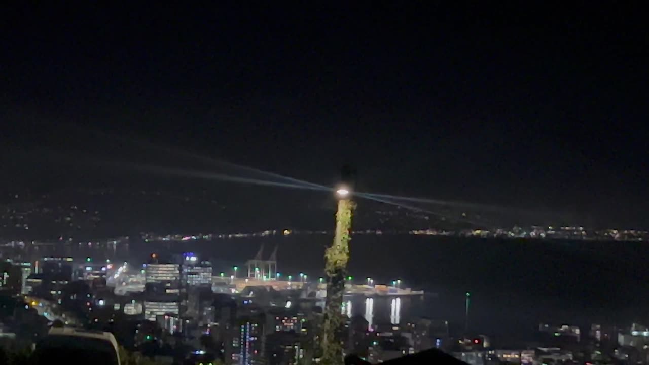 Wellington night view