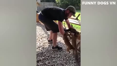 Funniest dogs and Cats 🐶🐱Best Funniest Animals Videos 2023