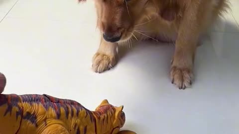 I have a pet. It's a lovely dog.