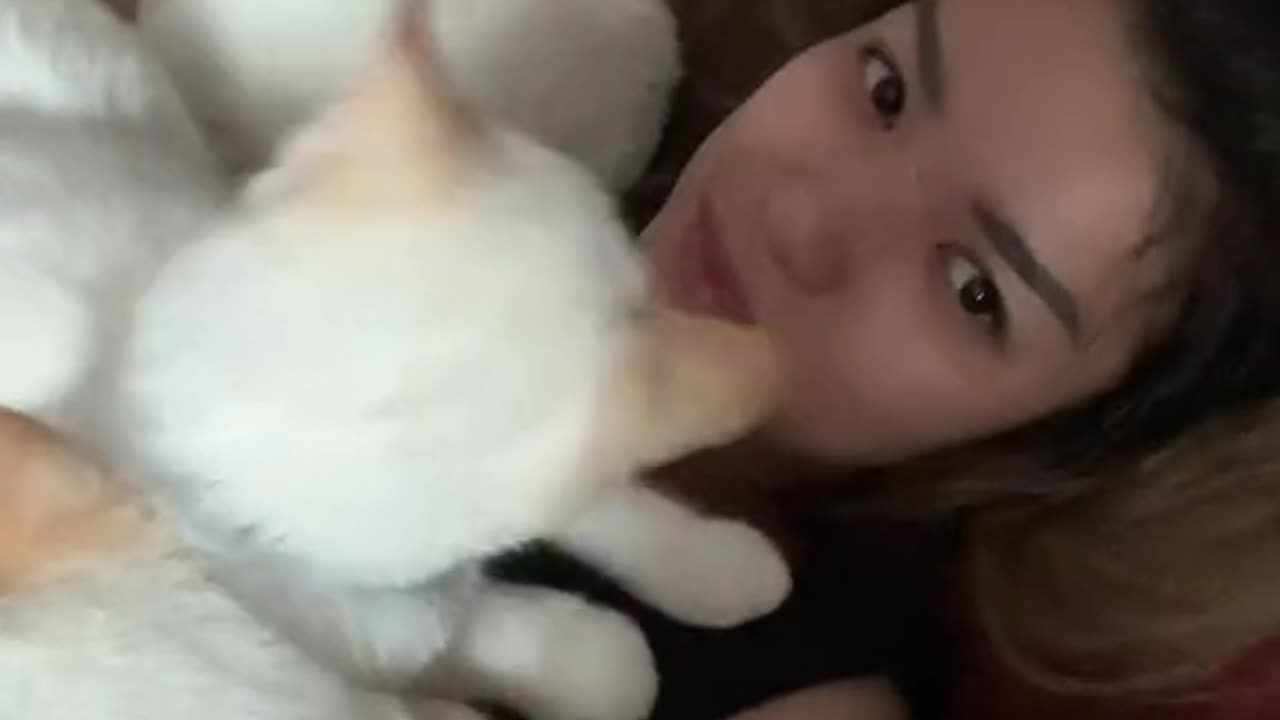 The Purr-Fect Wake-Up Call