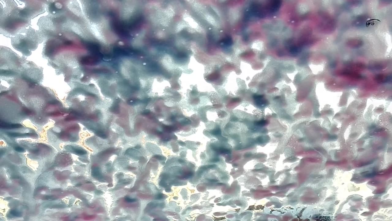 Relaxing car wash