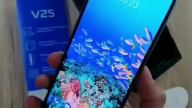 vivo v25