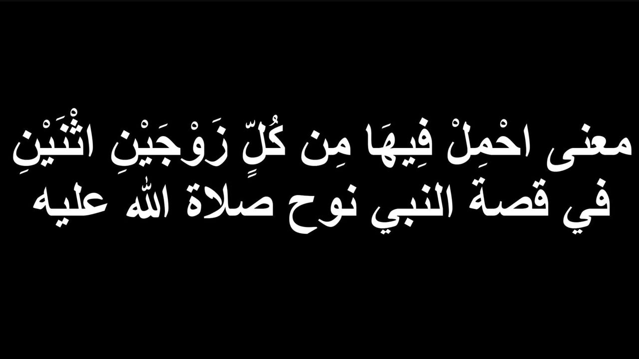 معنى احْمِلْ فِيهَا مِن كُلٍّ زَوْجَيْنِ اثْنَيْنِ في قصة النبي نوح صلاة الله عليه