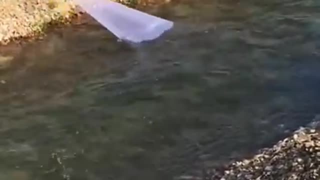 Best Fishing tyle: How to catch Fish