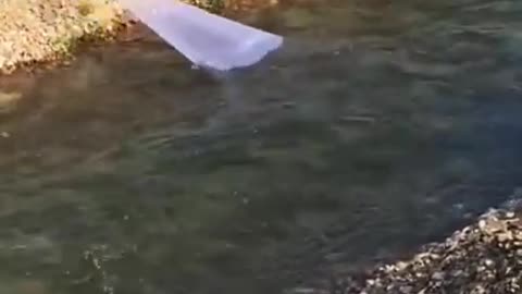 Best Fishing tyle: How to catch Fish