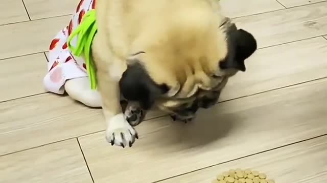 You wanna eat? Guess it