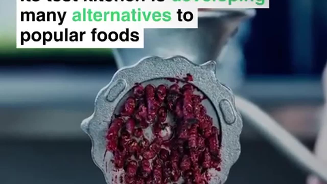 BROUGHT TO YOU BY NONE OTHER THEN THE WEF IKEA IS EXPERIMENTING 😱WITH INSECTS 🪳FOOD