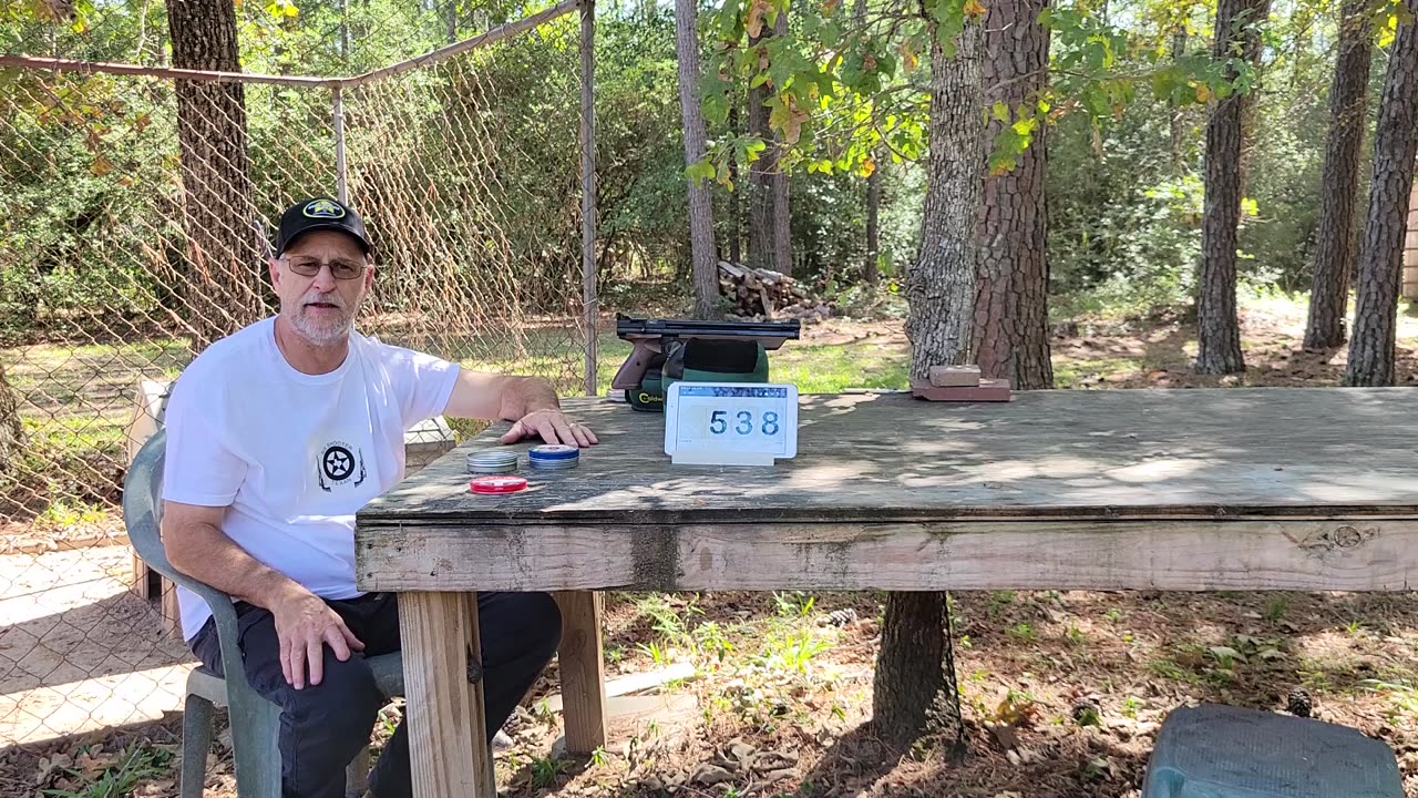 Crosman 1377 And Future Project