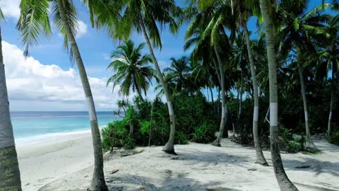 Sea beach and nature