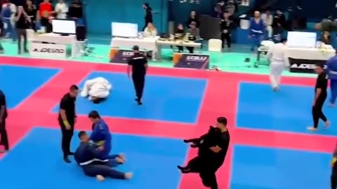 Dog interrupts Jiu Jitsu match