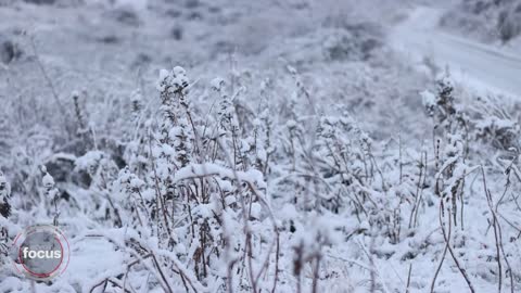 NZ hit with a week of wild weather | nzherald.co.nz