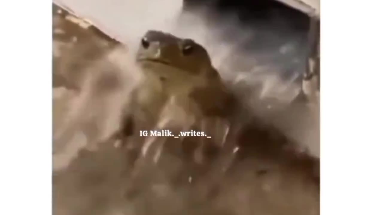 Random videos part 15l