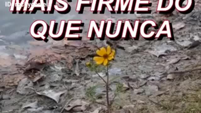 ÉS UM VENCEDOR