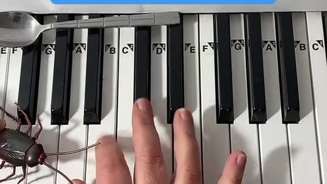 Money So Big Piano Tutorial 💰