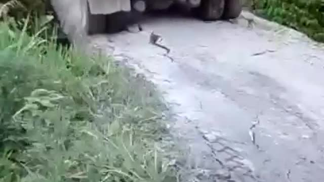 Dedicated to unhappy videos, simply too funny rollover videos