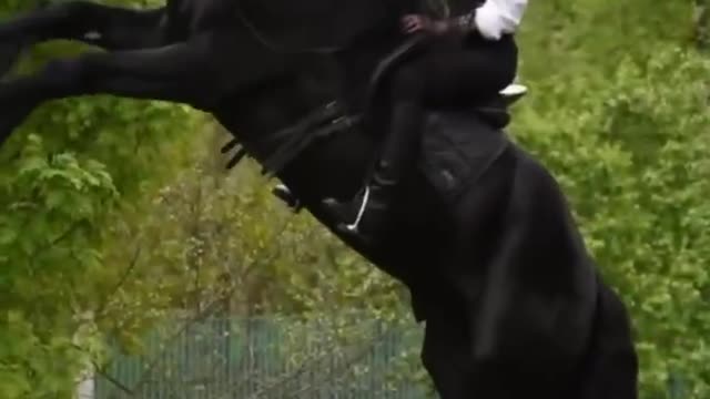 equestrian boots