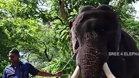 മനുഷ്യർ എന്ന് കേൾക്കുന്നത് തന്നെ കട്ടക്കലിപ്പ്..
