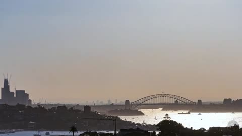 Sydney In Motion