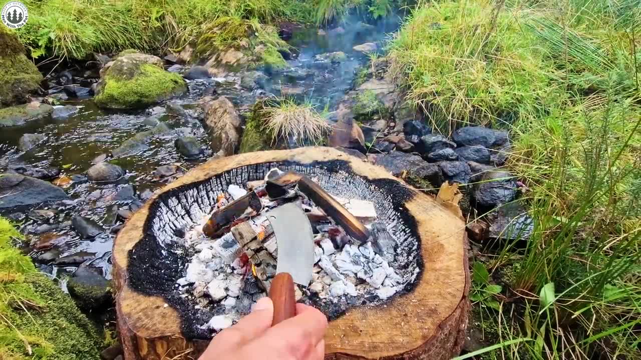 Baking snail in the meddle of forest