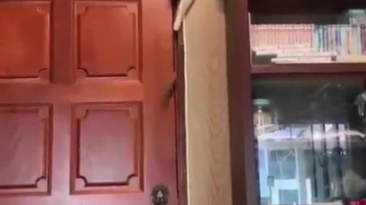 Η ΓΑΤΑ ΚΑΙ Η ΠΟΡΤΑ