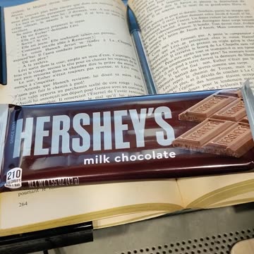Eating Hersheys Milk Chocolate, Dbn, MI, 8/25/23