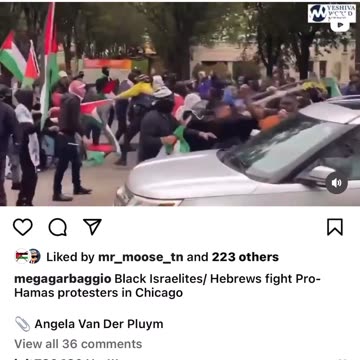 The “pro” protests