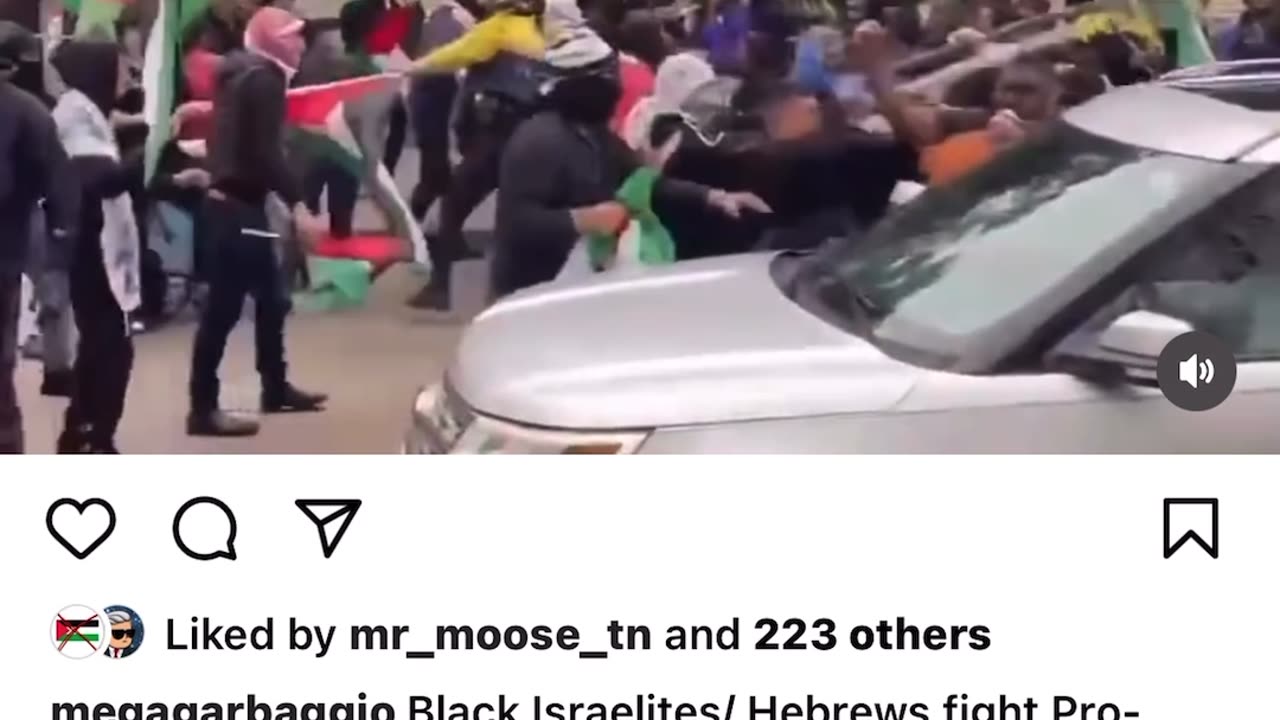 The “pro” protests