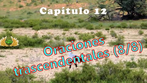 Capítulo 12 - Oraciones trascendentales (8/8)