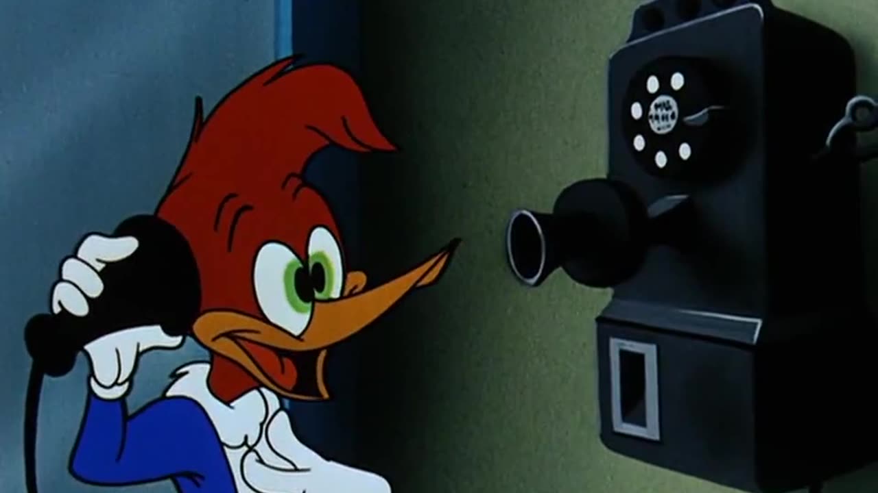 WOODY WOODPECKER - 059 - A Fine Feathered Frenzy