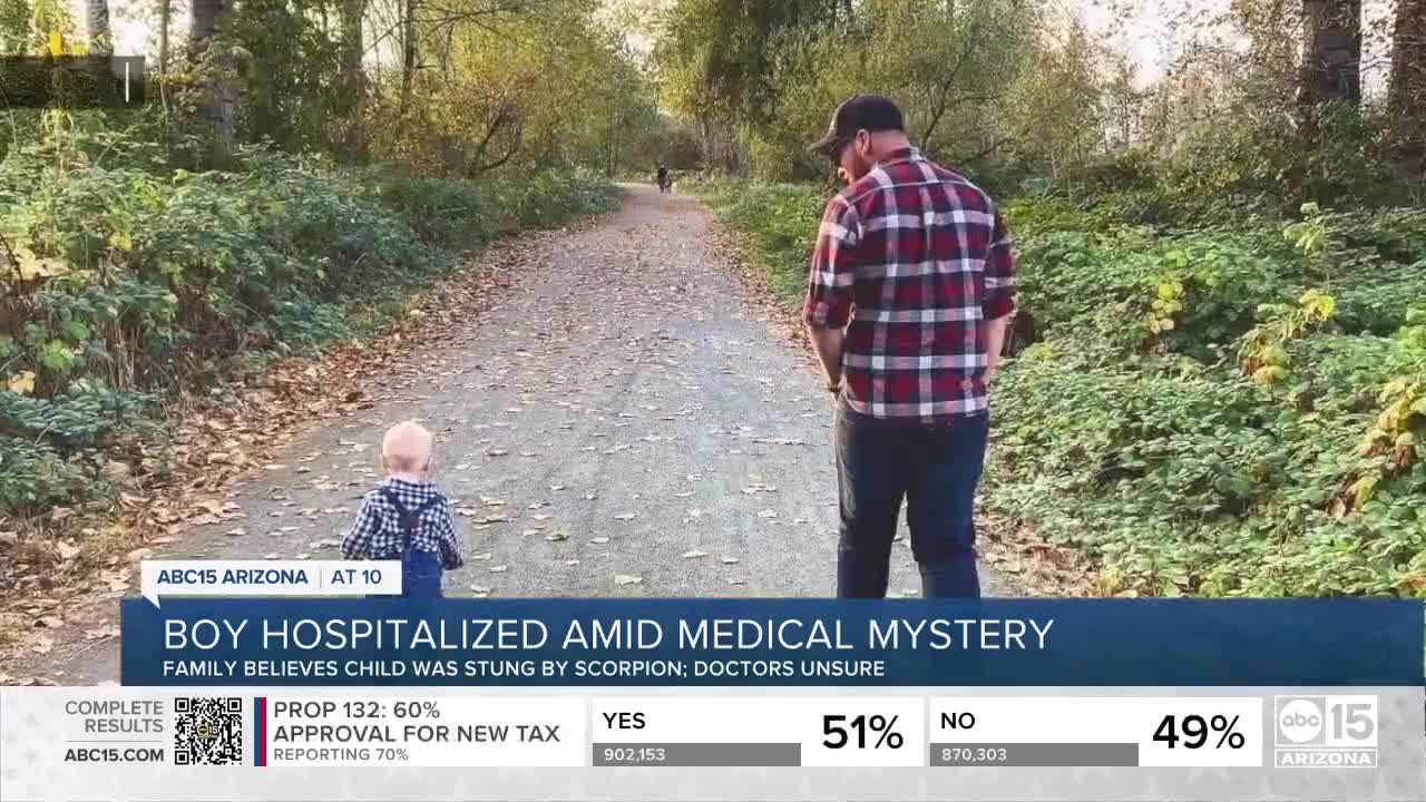 Canadian-boy visiting the Valley taken to the hospital after possible scorpion sting
