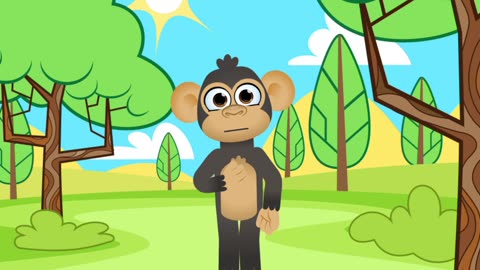 monkey in home
