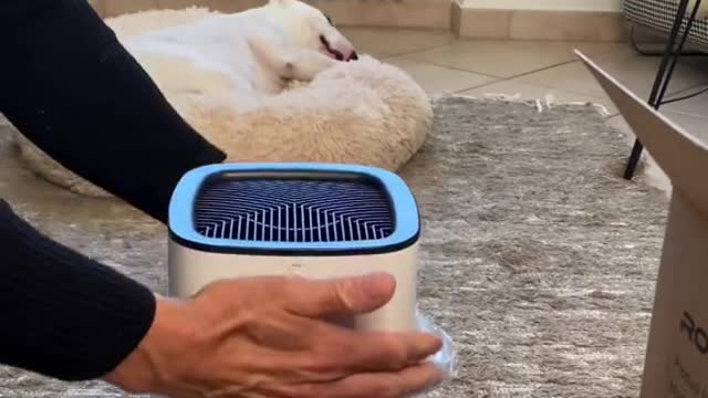 ROVACSAirpurifier#dog