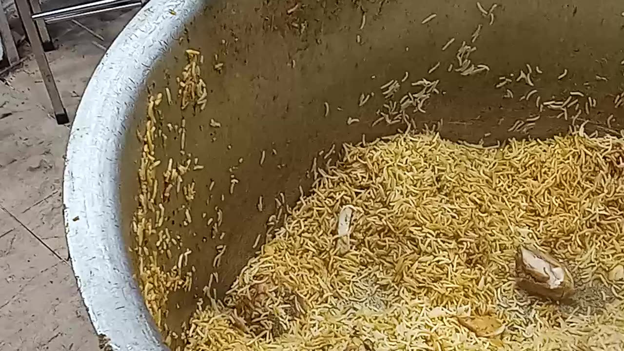 Best biryani in Pakistan Karachi spicy and testy