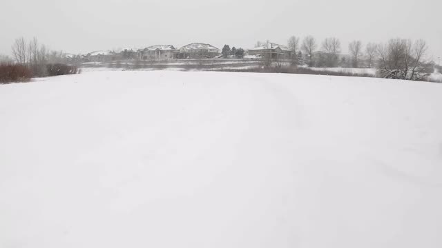 Slow Walk In Windy Heavy Snow