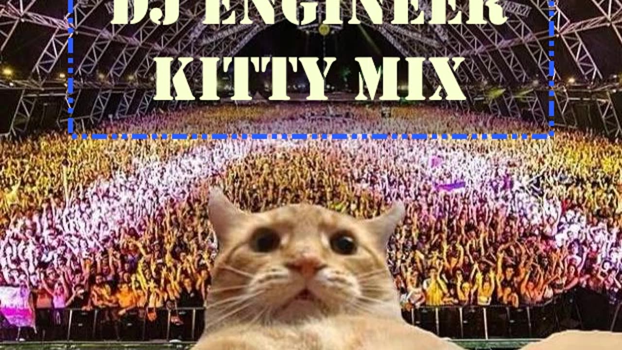 DJ Engineer - Kitty Mix