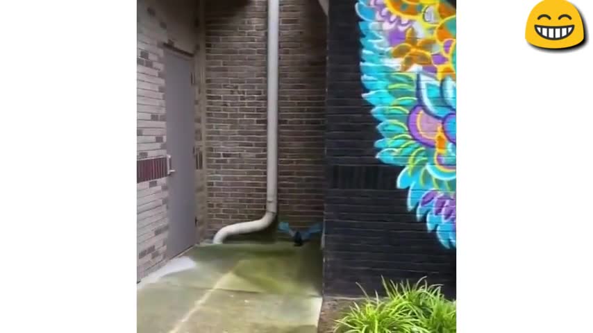 Tik tok funny videos