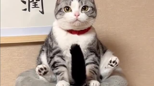 Magicalsittingposition.
