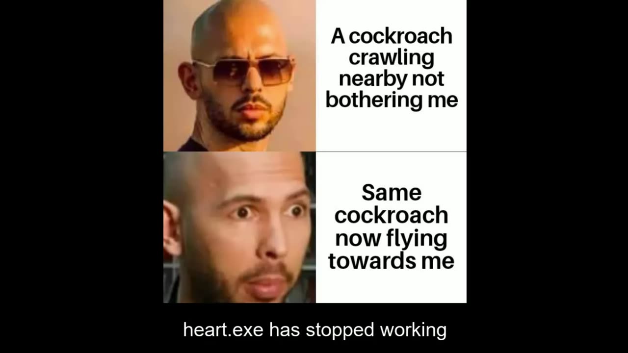 r/memes | tfw cockroach