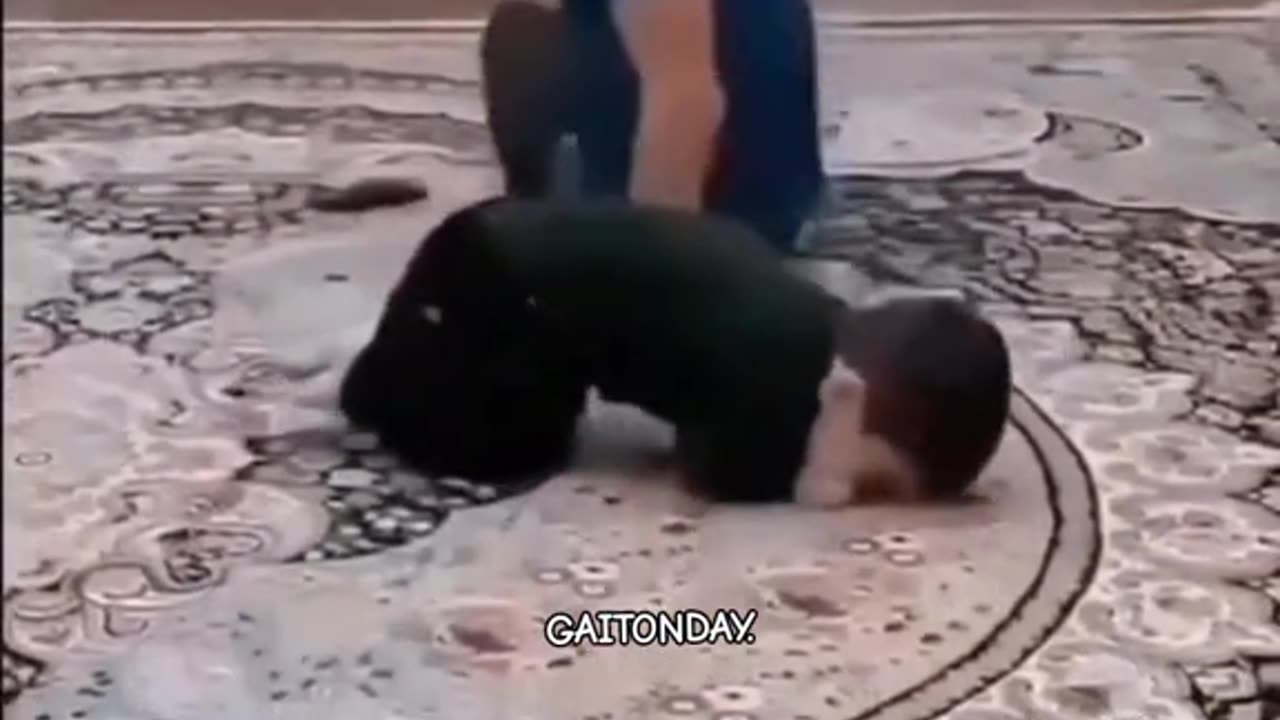 Short video only for fun 🤣🤣🤣🤣