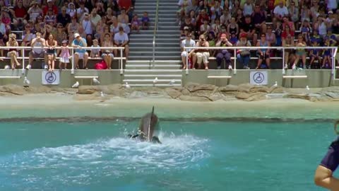 H2O - just add water S1 E5 - Something Fishy