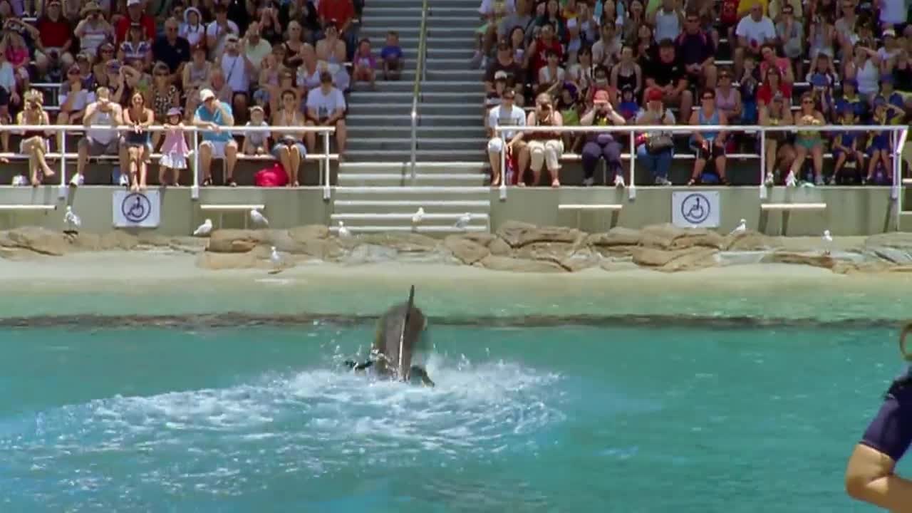 H2O - just add water S1 E5 - Something Fishy