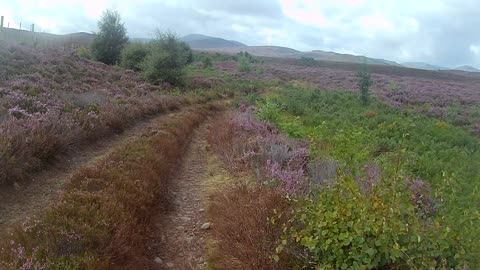 Cairngorms Cycle Trip 2023