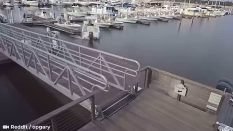 OMG 80 Of the Most Hillarious Mistakes IDIOTS Make on BOATS!!!