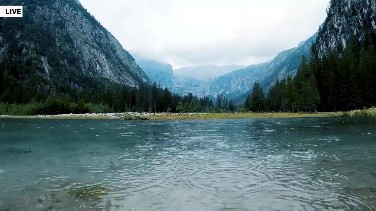 🔴Fall Asleep With The Soothing Sounds Of Rain And Thunder | Rain Sounds For Sleeping ASMR